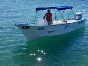 A small boat named 'Cleo' navigates through clear waters, showcasing its sleek design and vibrant colors — perfect for fishing or leisure outings.