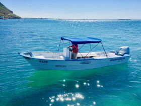 A speedboat named 'CLED' is anchored in clear turquoise waters, showcasing its sleek design and inviting atmosphere for a day on the water.