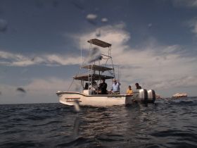 A group of friends enjoys a fishing trip aboard a boat, showcasing camaraderie and adventure on the open water.