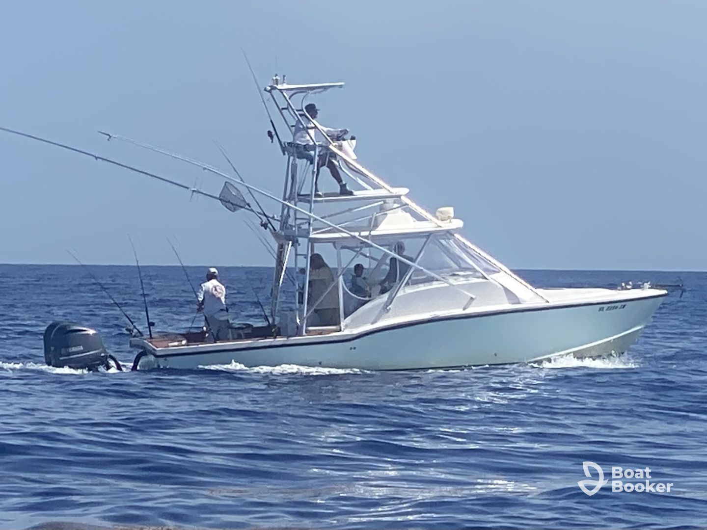 PAPA31 Johnny Maddox Charters