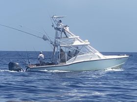 A group of anglers enjoys a day of fishing on a sportfishing boat, showcasing the excitement of ocean adventures.