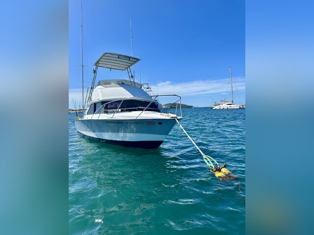 Listing image 1082791