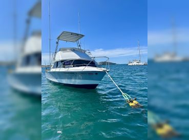 The Amberjack by Amberjack Tours