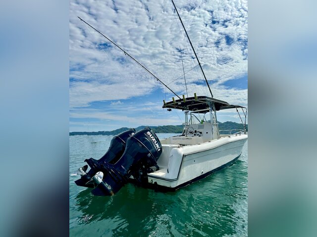 Listing image 1057105
