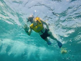 A snorkeler explores the vibrant underwater world, showcasing the thrill of snorkeling adventures in crystal-clear waters.