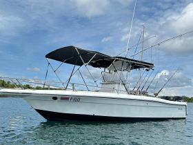 A sleek fishing boat captured from the side, showcasing its structure and fishing gear, perfect for a day on the water.