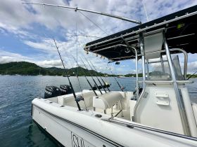 A detailed view of the helm area on a fishing boat, showcasing the console and fishing rods, perfect for anglers looking to enjoy a day on the water.
