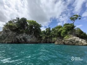 A stunning view of lush greenery and rocky cliffs along a vibrant turquoise coastline, perfect for exploring the natural beauty of the area.