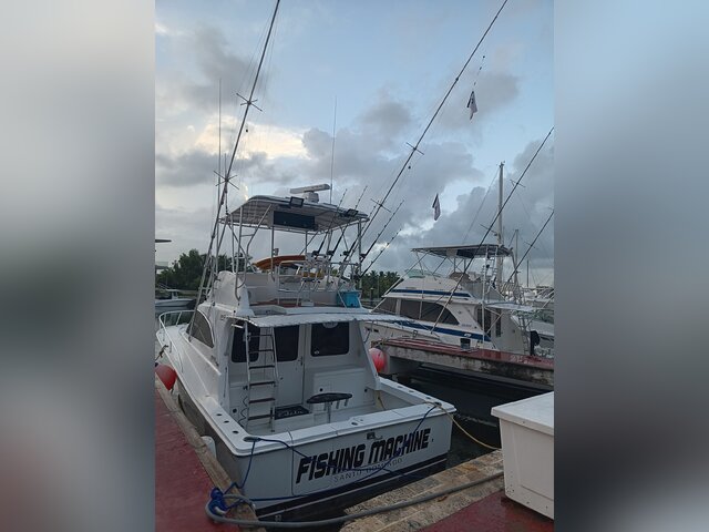 Listing image 1058137