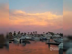 A stunning sunset over a marina filled with various boats, creating a picturesque scene perfect for evening cruises and relaxation.