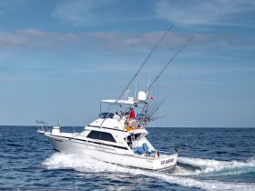 A fishing boat named 'Go Deeper' cruises through open waters, showcasing its sleek design and fishing gear, perfect for an adventurous day at sea.