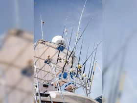 A close-up view of fishing rods and reels mounted on a boat, showcasing the essential gear for an exciting day of fishing on the water.