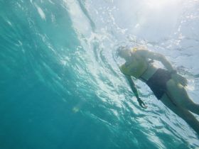 A swimmer explores the vibrant underwater world while snorkeling, showcasing the beauty of marine life in crystal-clear waters.