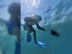 A child enjoys snorkeling underwater, showcasing the vibrant marine life and adventure of aquatic exploration — a perfect family activity in tropical waters.