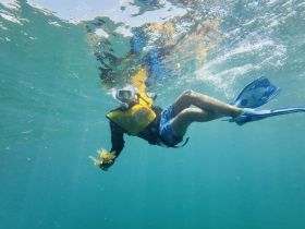 A snorkeler explores the vibrant underwater world, showcasing the beauty of marine life while enjoying a refreshing swim.