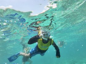 A child enjoys snorkeling in crystal-clear waters, showcasing the excitement of underwater exploration and marine life encounters.