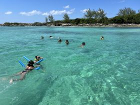 A lively group enjoys snorkeling in crystal-clear waters, showcasing the beauty of a tropical beach experience.