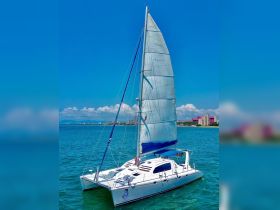 A stunning catamaran sailing through clear blue waters, showcasing its elegant design and perfect for leisurely cruises or adventurous outings.