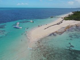 A vibrant scene at a sandbar with multiple boats anchored nearby, where a group enjoys swimming and relaxing on the beach — a perfect getaway for water enthusiasts.
