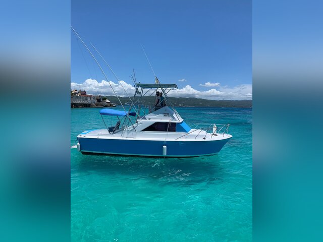 Listing image 1057549