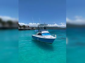 A vibrant speedboat navigates through crystal-clear turquoise waters, showcasing the perfect setting for a day of adventure on the sea.