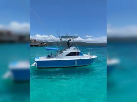 A fishing boat navigates through crystal-clear turquoise waters, showcasing its sleek design and vibrant colors — perfect for a day of adventure on the sea.