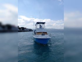 A speedboat navigates through clear waters, showcasing its sleek design and vibrant colors, perfect for a day out on the water.
