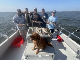 A group of anglers proudly displays their catch of the day on a fishing trip, with a cheerful dog joining the fun on the boat.