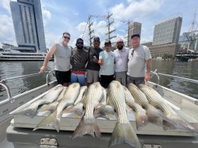 A group of friends proudly displays their impressive catch of striped bass on a boat, celebrating a successful fishing trip in the harbor.