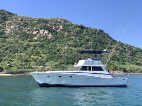 A sleek yacht cruising in clear waters with a lush green hillside in the background, perfect for scenic boating adventures.