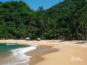 A picturesque beach scene featuring a small boat near the shore, surrounded by lush greenery and palm trees — an ideal tropical getaway.