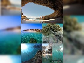 A vibrant collage showcasing a fun day of snorkeling and exploring beautiful beaches, featuring groups enjoying the water and stunning underwater wildlife.