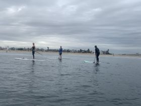 A group of paddleboarders enjoys a serene day on the water, showcasing the perfect blend of adventure and relaxation in a coastal setting.