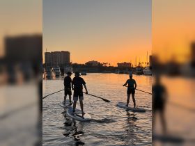 A group enjoys paddleboarding at sunset, creating a picturesque scene with the city skyline in the background — perfect for water sports enthusiasts.