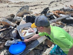 A young boy prepares freshly caught fish on the beach, showcasing a memorable fishing experience in a coastal paradise.
