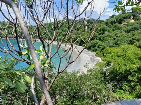 A scenic view of a secluded beach surrounded by lush greenery, partially obscured by tree branches.