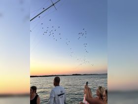 A group of guests enjoys a stunning sunset while watching birds fly overhead, capturing the moment on a scenic boat trip.