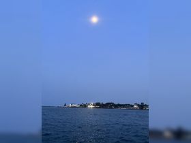 A serene evening view of the moon reflecting on the water, with a picturesque shoreline illuminated by lights — perfect for capturing the tranquility of a boat trip at dusk.