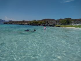 Two snorkelers explore the clear waters of a beautiful beach, showcasing the perfect setting for underwater adventures and relaxation.