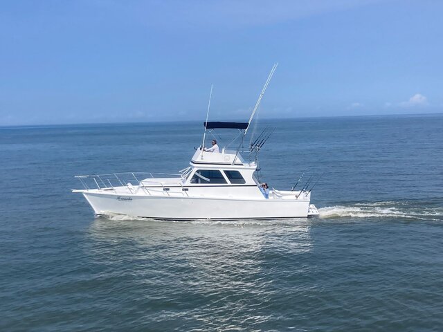 Listing image 1135468
