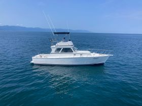A sleek yacht cruising through clear waters, showcasing its elegant design and fishing gear, perfect for a day on the ocean.