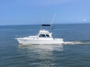 38 ft Sports Yacht