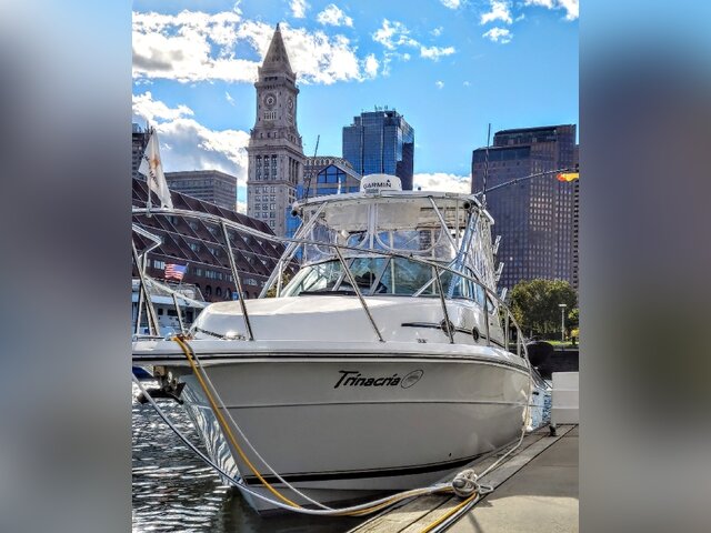 Listing image 1057888