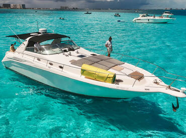 45ft Sea Ray Sundancer for up to 12 guest!