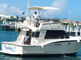 A yacht named 'Psalm 1' is docked with two individuals on board, showcasing a perfect setting for a day on the water.
