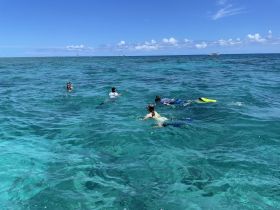 A group of snorkelers enjoys the vibrant underwater world in crystal-clear waters, perfect for aquatic adventures and family fun.