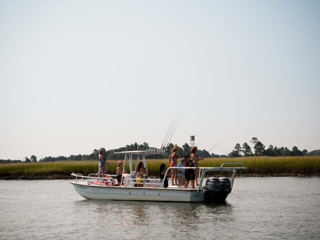 Listing image 1058243