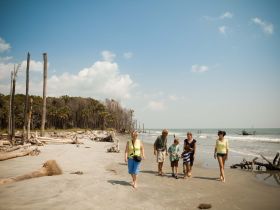 A family strolls along a picturesque beach, enjoying the scenic coastline and each other's company — a perfect moment for creating lasting memories.