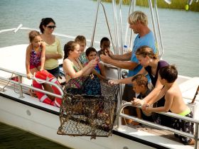 A group of children and adults engage in an educational experience on a boat, observing marine life and learning about the ecosystem — a perfect family outing on the water.