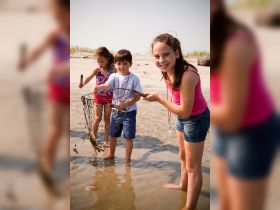 A group of children joyfully crabbing at the beach, showcasing a fun and interactive wildlife experience in shallow waters.